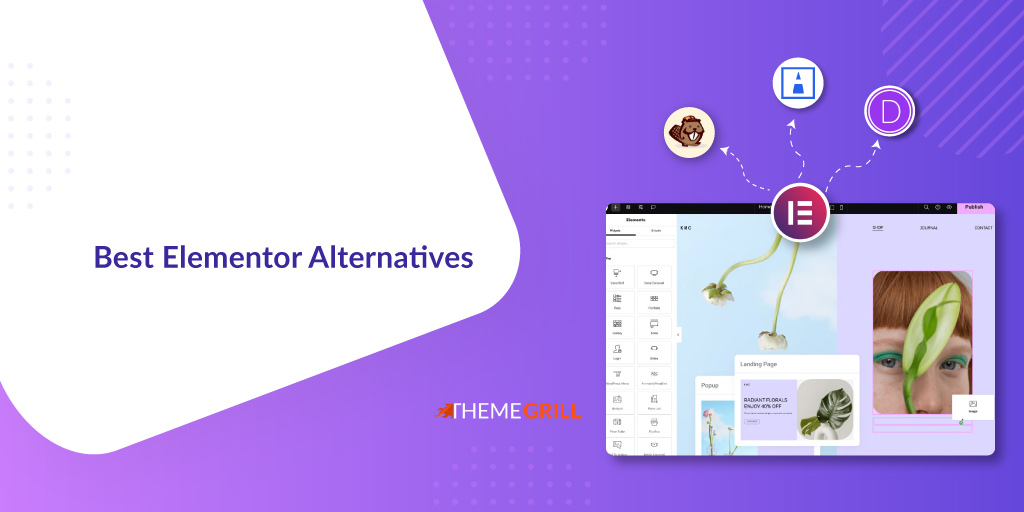 Best Elementor Alternatives