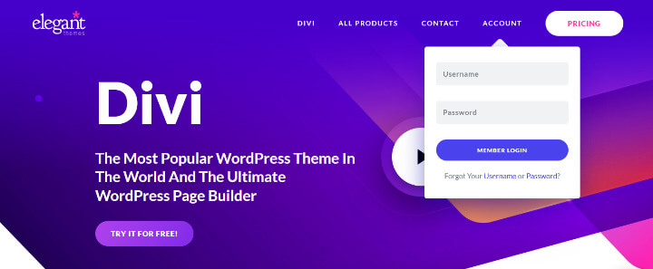 Divi Page Builder