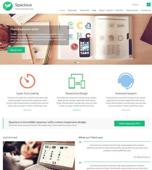 Best Single Product WordPress Theme