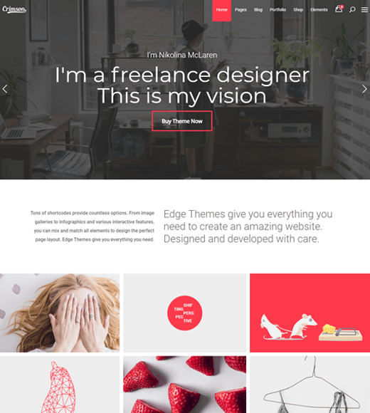 Crimson WordPress Template For Freelance Website