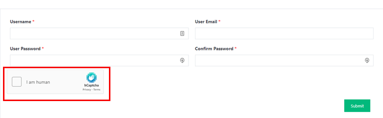 hCaptcha Example
