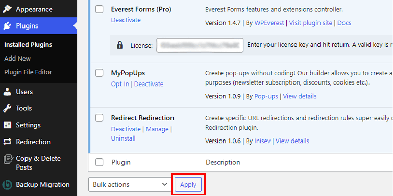 Paste License Key