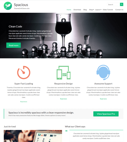 Spacious One of The Best Free WordPress Themes